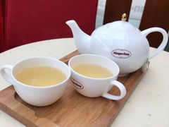 -哈根达斯(扬州瘦西湖店)