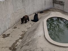 -天津市动物园