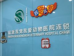 -瑞派宠物医院·内科·软组织·绝育中心(沈阳八纬路分院)