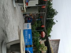 鸭嘴鱼-鸿渡渔庄·特色鸭咀鱼