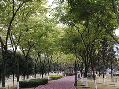 -西南政法大学(渝北校区)