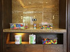 -上海崇明金茂凯悦酒店