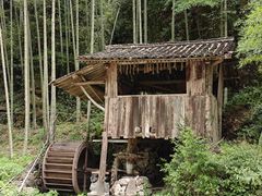 -林坑古村落