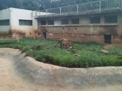 -昆明动物园
