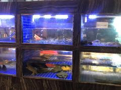 -院里寻菜·精致庭院菜(观沙岭店)