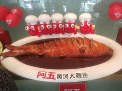 -阿五黄河大鲤鱼(英协路店)