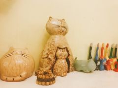 -猫色咖啡·猫咖