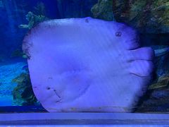 -临沂极地海洋王国