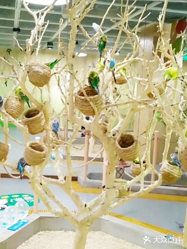 喜欢萌萌小动物的就来这家萌宠动物园