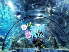 -南昌海洋公园