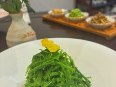 -浦江悦(陆家嘴保利广场店)