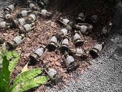 -J Create城市露营咖啡·简餐·宠物(上海动物园店)