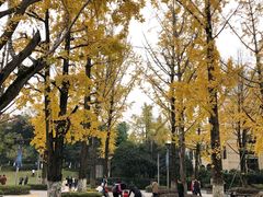 -百林公园-两江幸福广场
