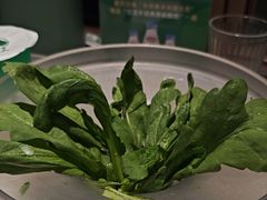 -半闲斋羊肉铺(齐礼阎店)