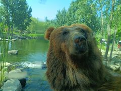 -北京野生动物园