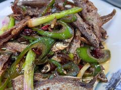 -洞背山庄(洞背院区式管理小区店)