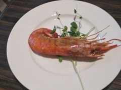 -康莱德酒店·美庭自助餐厅