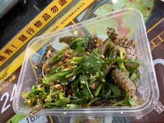 鱼皮-无影脚佛山陈氏盲公丸始创店(飞鸿街店)