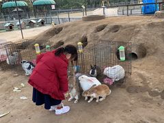 -前小桔亲子创意农场·草莓采摘·露营烧烤
