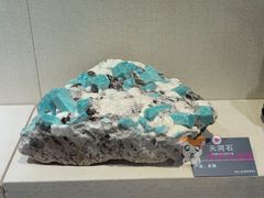 -安徽省地质博物馆