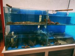 水产区-常兴记广东小厨(浦东路店)