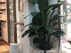 -Line 咖啡(石厦花园店)