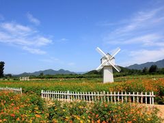 景点-北京东方普罗旺斯薰衣草庄园