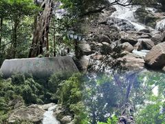 -海南热带雨林国家公园吊罗山景区