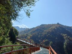 -少华山国家森林公园