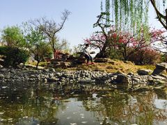 -石家庄市植物园