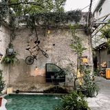 氛围满分的悠闲