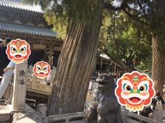 -晋祠博物馆
