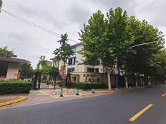 -大华梧桐墅大公馆