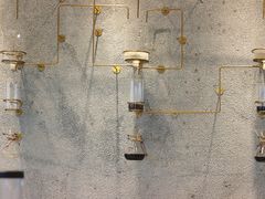 冰滴墙-MQ COFFEE STAND明谦(新洲店)