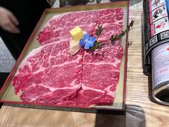 -鸟山鸣·日料食堂(王府井店)