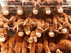 店内设施-宜家家居(西安未央商场店)