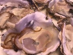 高压锅生蚝中一打-千岛蚝高压锅生蚝·人参火锅(白云万达店)