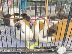 -清远熹乐谷温泉度假酒店