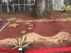 -南通洲际绿博园