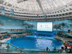 -海合安成都极地海洋公园