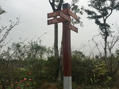 -瑶湖郊野森林公园