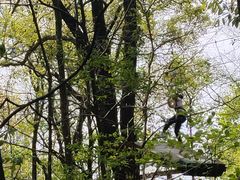 -WeLope紫金山探险公园