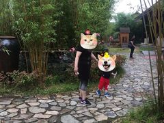 -崇阳三特浪口温泉