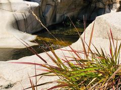 -碓臼峪自然风景区