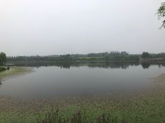-东郊湿地公园