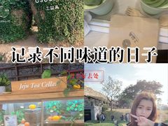 -雪绿茶博物馆