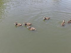 -前关湿地公园