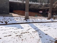-水车博览园