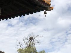 -中岳庙