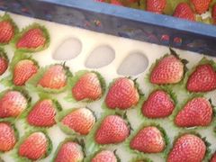 -果果家(兰州甘南路二店)